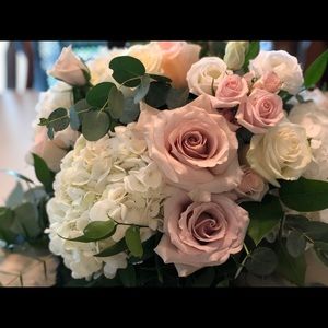 Meet your Posher, Cammy